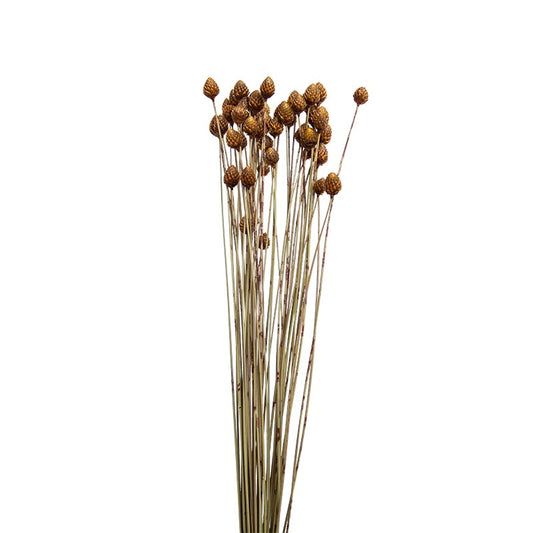 Dried Flower Decoration