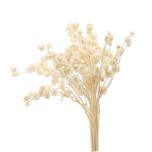 Eternal Flower - FD-JH2204