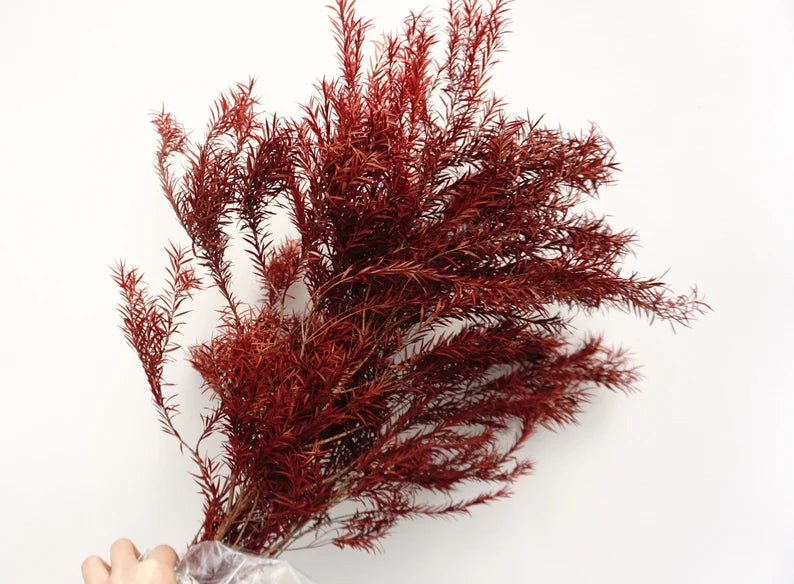Preserved Pine Bough - FA-JH2005G