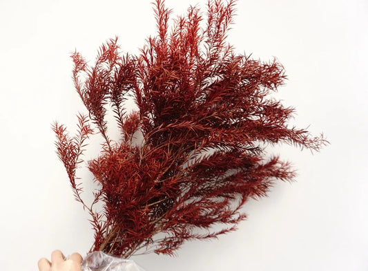 Preserved Pine Bough - FA-JH2005G