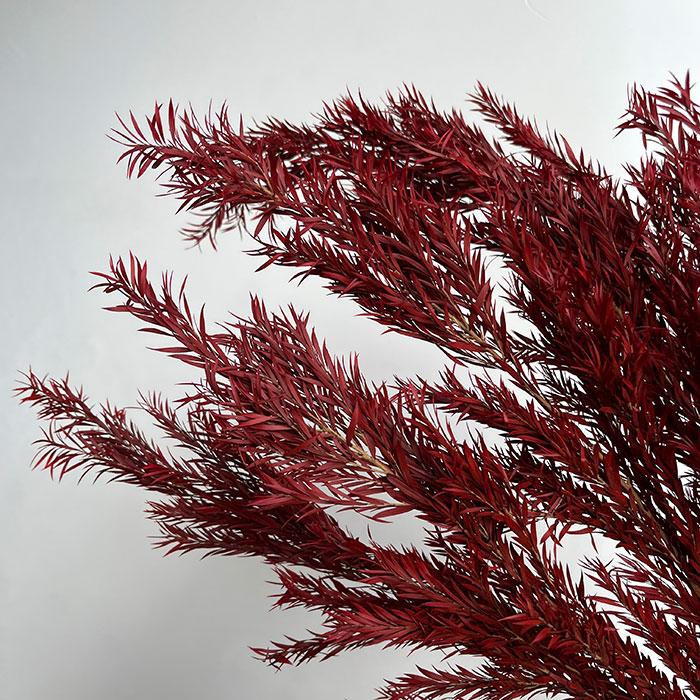 Preserved Pine Bough - FA-JH2005G