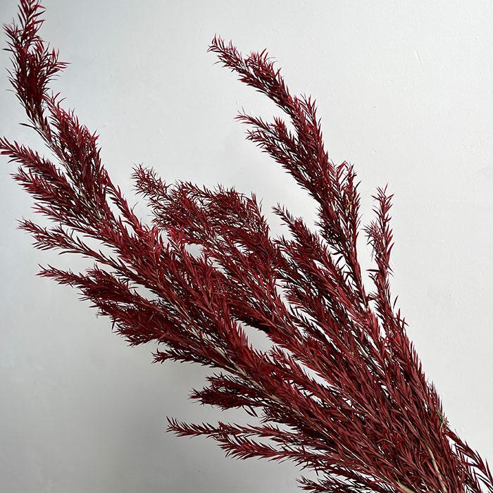 Preserved Pine Bough - FA-JH2005G